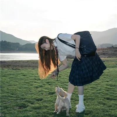 心有猛虎细嗅蔷薇 海报