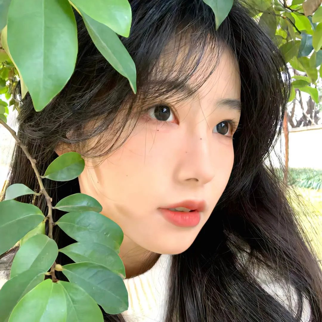 儍瓜嬉春 海报
